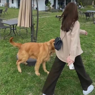 在土星环中 海报